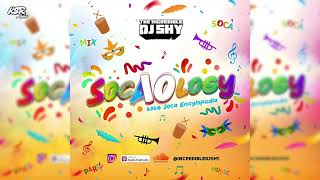 SOCAOLOGY 2024 Soca Mix Mixed by DJ Shy [upl. by Halyk]