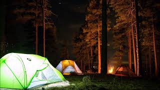 ⛺ 8 Hours of Cozy Campsite Ambience at Night with Campfire amp Animal Sounds  Relax Study Sleep [upl. by Nnaeirual159]