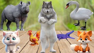 Amazing Animal Sounds Lion Cub Fox Calf Buffalo Husky  Animal Sounds [upl. by Torray]