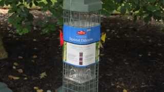 PerkyPet® Evenseed™ Squirrel Dilemma Bird Feeder Instructional Video  Bird Feeder [upl. by Pembroke]