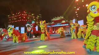 Lion Dance Foshan China 2024 [upl. by Ajile330]