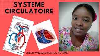 SYSTEME CIRCULATOIRE ANATOMIE ET PHYSIOLOGIE [upl. by Cherise]