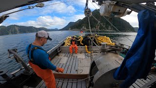 Salmon Fishing in Alaska  Commercial Fishing Backset [upl. by Betteann]