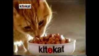 Reklam KiteKat  för katter med smak på livet 1996 [upl. by Lehman]