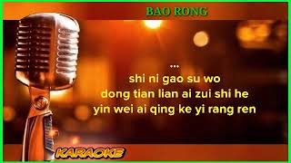 Bao rong  karaoke no vokal cover to lyrics pinyin [upl. by Socrates]