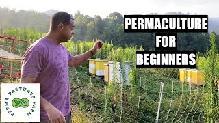 Permaculture Demystified Your Essential Guide for Beginner Green Thumbs [upl. by Enihsnus650]