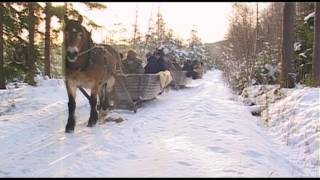 Kom med oss på en natur och kulturupplevelse i Finnskogen [upl. by Einahpad]