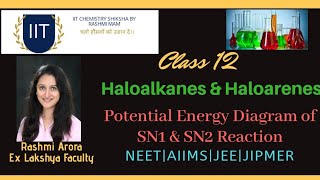 Organic Chemistry Class12 Potential Energy Diagram SN1 amp SN2 NEET JEE AIIMS JIPMER [upl. by Nonnairb]