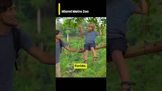 Step into the Wild Exploring Miami Metro Zoo [upl. by Cost947]