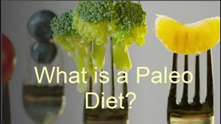 What is a Paleo diet [upl. by Festus898]