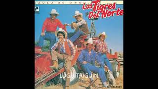 Los tigres Del norte Mix De Viejitas Norteñas [upl. by Haidabo698]