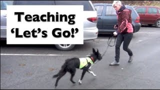 How to stop your dog lunging and barking Train Lets Go shy reactive dogs [upl. by Rebba616]