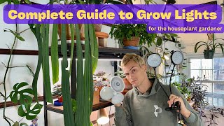 How to Use Grow Lights for Indoor Plants  Complete Guide [upl. by Airbma459]