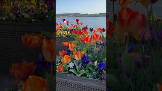 Floriade in Canberra [upl. by Sillek]