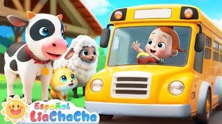 Las Ruedas del Autobús  Versión Animales de Granja 2  LiaChaCha en Español  Canciones Infantiles [upl. by Rednal]