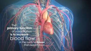 NOxBOXi Intelligent Inhaled Nitric Oxide Delivery and Monitor [upl. by Ahsiekan222]