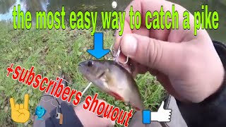 THE MOST EASY WAY TO CATCH THE PIKE  catch pike on live bait [upl. by Tiffany]