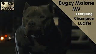 Champion Lucifer scenes  Bugzy Malone Aggy Wid It [upl. by Olemrac374]