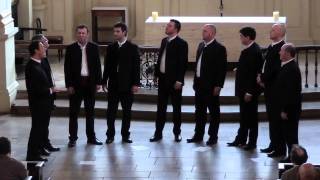 Klapa Motovun performing Vilo moja [upl. by Notniv]