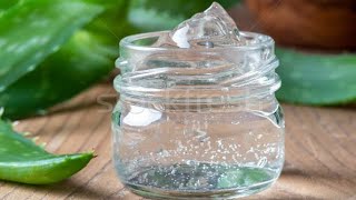 How to make aloe vera gel and store it for years [upl. by Aizek]