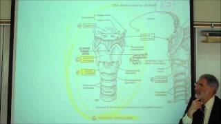 ANATOMY RESPIRATORY SYSTEM PART 1 Upper Tract Nose Pharynx amp Larynx by Professor Fink [upl. by Lampert320]