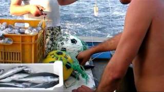 Pescaturismo a Porto Cesareo [upl. by Adam]