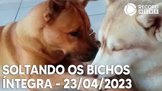 Soltando os Bichos  23042023 [upl. by Nivled]