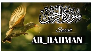 Surah Ar Rahman Beautiful Tilawat SurahArRahman quranrecitation [upl. by Eaneg]