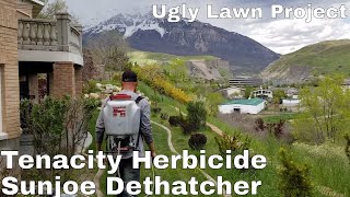 Ugly Lawn Project Tenacity Herbicide Challenge and Sunjoe Dethatcher review billbug prevention [upl. by Ennaus759]