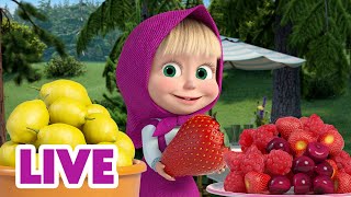 🔴 LIVE STREAM 🎬 Masha and the Bear 🤔 Picky Eaters 😋 [upl. by Iroc]