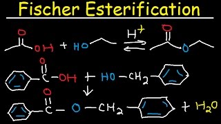 Fischer Esterification Reaction Mechanism  Carboxylic Acid Derivatives [upl. by Vtarj448]