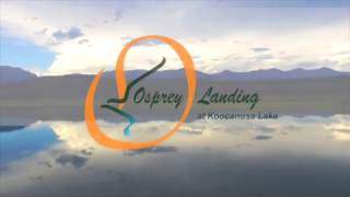 Osprey Landing At Koocanusa Lake [upl. by Ahtivak]