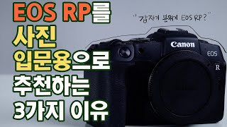 입문용 풀프레임 뭘사야할까 EOS RP를 지금 사야하는 이유 [upl. by Nnanerak]