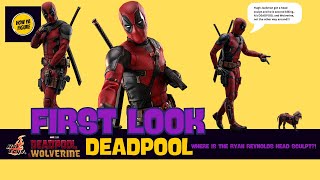 FIRST LOOK HOT TOYS DEADPOOL from DEADPOOL amp WOLVERINE [upl. by Niatirb]