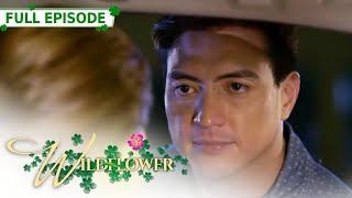 ENG SUB Ep 235  Wildflower  Maja Salvador Tirso Cruz III Aiko Melendez [upl. by Aerdnaeel631]