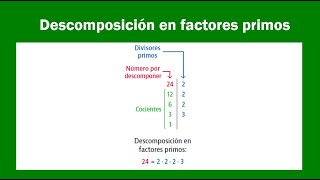 Descomposición en factores primos [upl. by Jessamine]