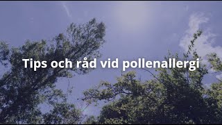 Pollen bäst i test 2024 Tips och råd [upl. by Corney]