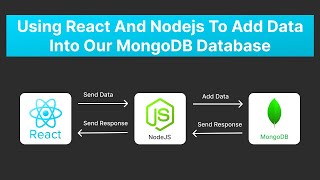 Add Data to MongoDB Using React and Nodejs  MERN Stack Tutorial [upl. by Kimberlyn]