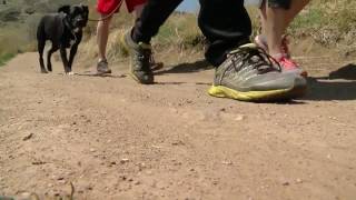 Be mindful of rattlesnakes on Colorado trails 7 ways to avoid a rattlesnake attack [upl. by Fuchs758]