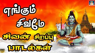 சிவ சிவ சங்கரா சிவன் பாடல்கள்  powerful Sivan songs in Tamil  Best Sivan Songs [upl. by Vahe]