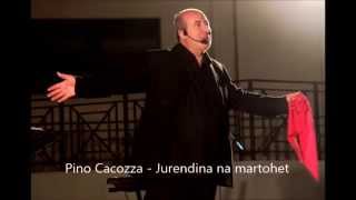 pino cacozza  jurendina na martohet [upl. by Massarelli]