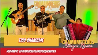 Trio Chamame Chamameceros Sangre Nueva 20 07 2024 [upl. by Annenn]