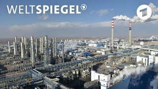 CO2Ausstoß China steht an der Spitze  Weltspiegel [upl. by Ahsened]