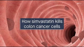 Simvastatin induces colon cancer cell death via the ROScaspase1GSDMD pathway [upl. by Enaffit]