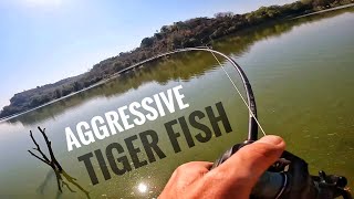 Fishing the Lake for Tiger Fish and Tilapia Solo Mission [upl. by Wadell]