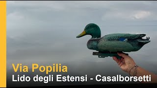 Via Popilia  Dal Lido degli Estensi a Casalborsetti [upl. by Htims]