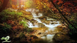 Relaxing Fantasy Music • Calm Harp Music for Sleep and Stress Relief Forest Whisper [upl. by Esmerolda]