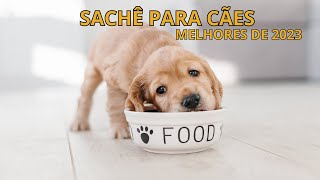 Os melhores sachês para cachorro de 2023 [upl. by Maleeny984]