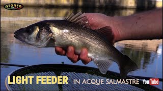 Pesca in foce  Light feeder [upl. by Pebrook]