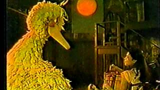 Classic Sesame Street  Big Bird and the Sun Part 1 [upl. by Eniamrehs]